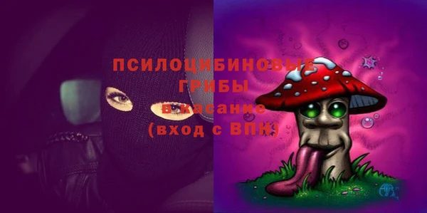 ALPHA PVP Богородицк